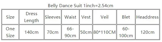 Belly Dance Costume Dress Oriental Bellydance Dress Palace Silk Folk Custom Muwashahat Robe Show for Women Competiton Robes