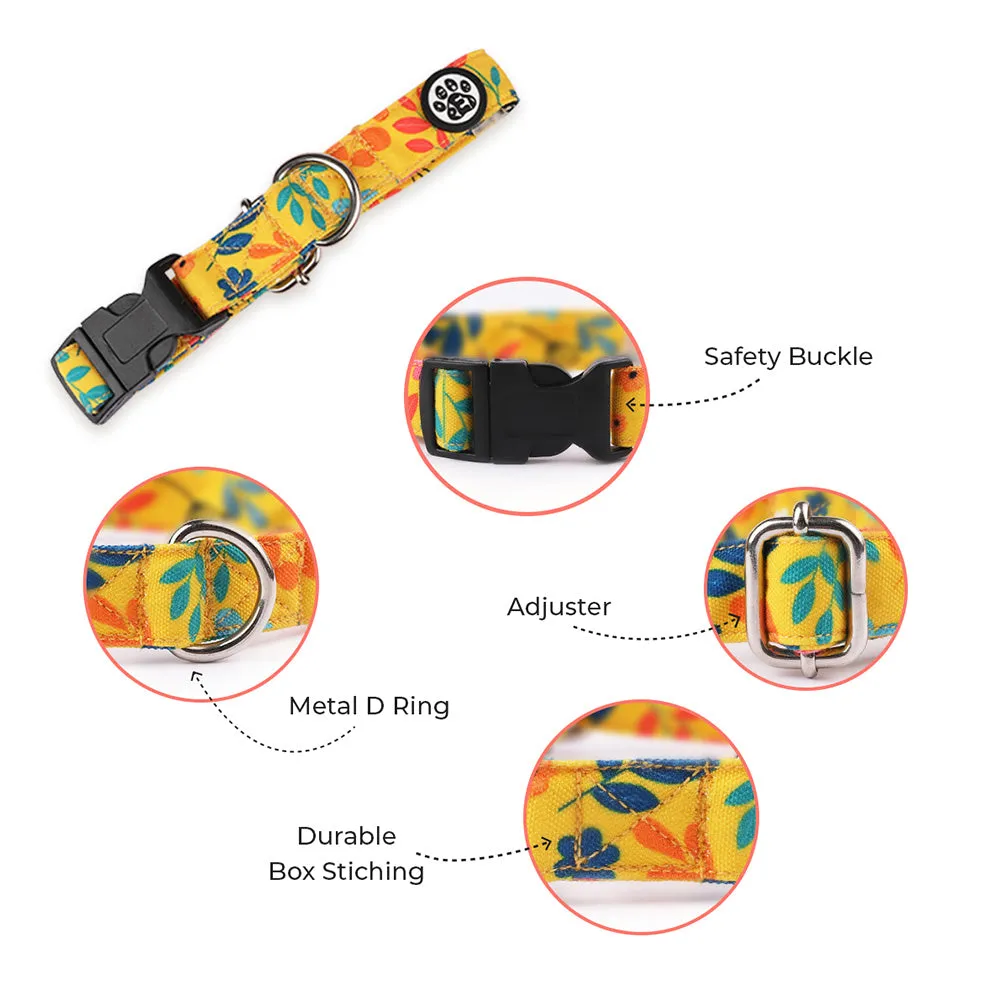 Dear Pet Blooming Yellow Dog Collar & Leash Set