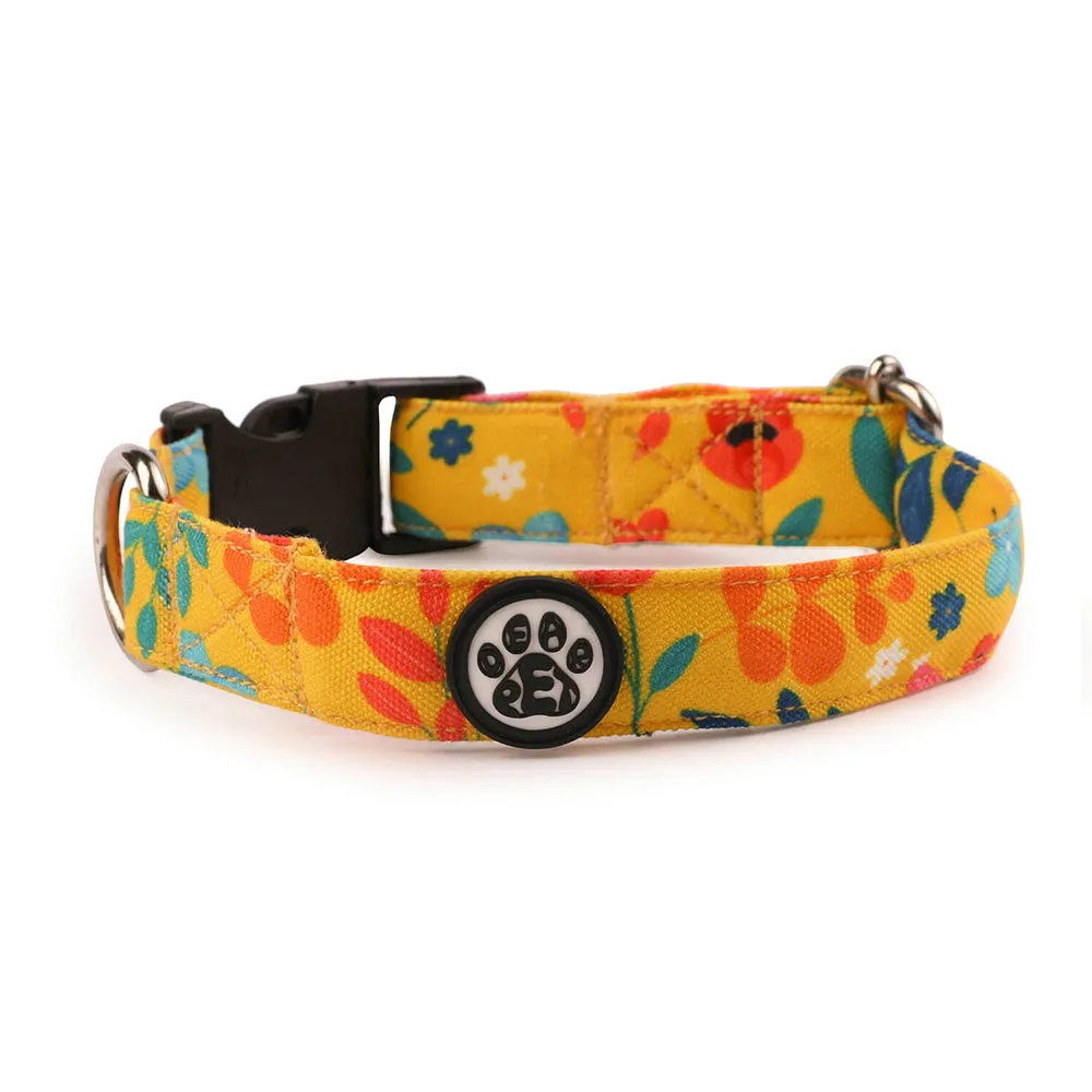 Dear Pet Blooming Yellow Dog Collar & Leash Set