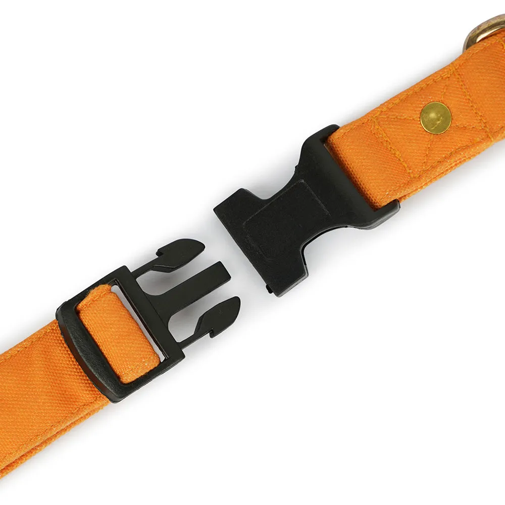 Dear Pet Classic Mustard Dog Collar & Leash Set