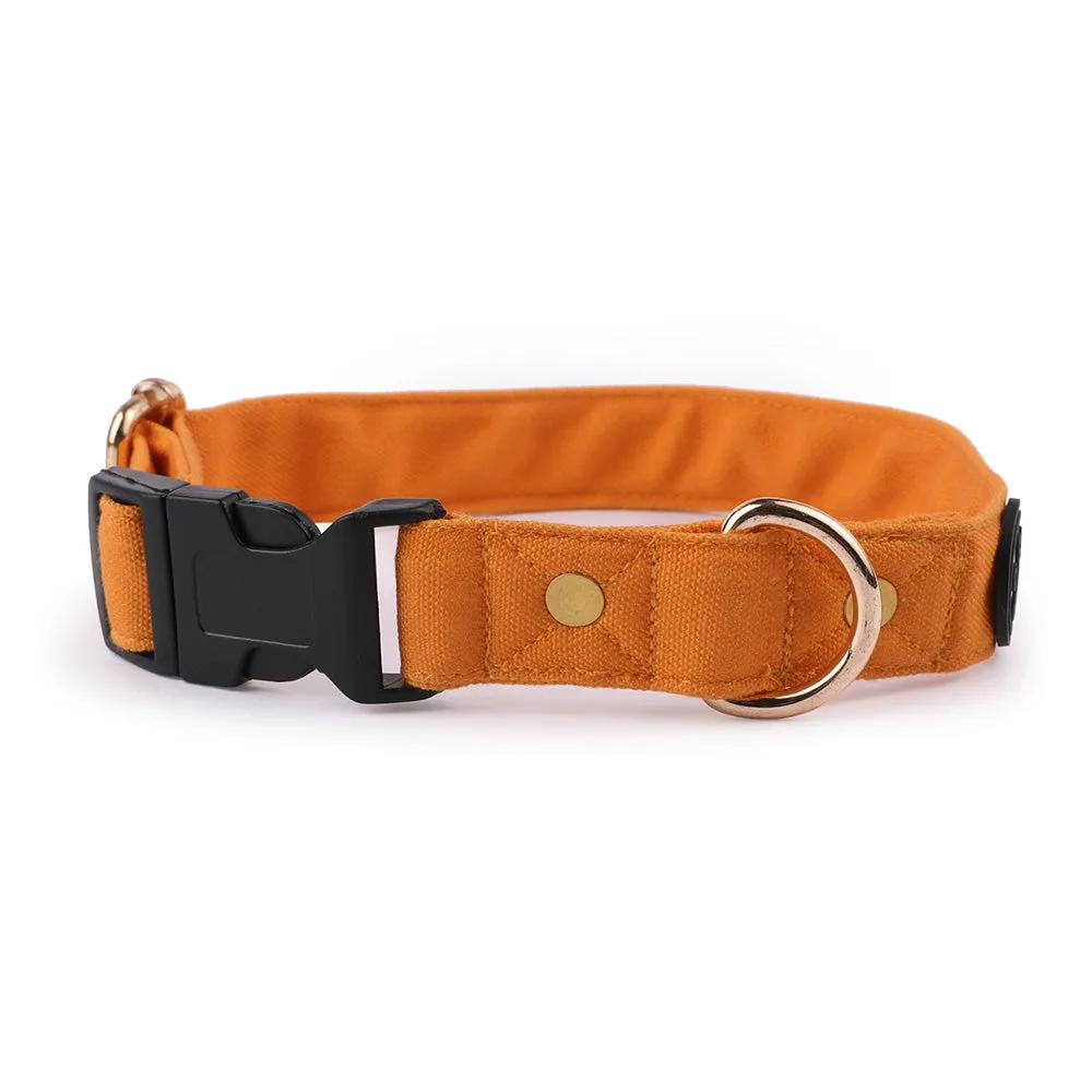 Dear Pet Classic Mustard Dog Collar & Leash Set