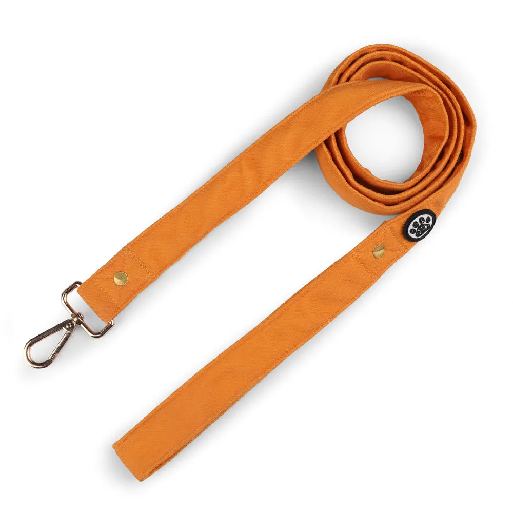 Dear Pet Classic Mustard Dog Collar & Leash Set