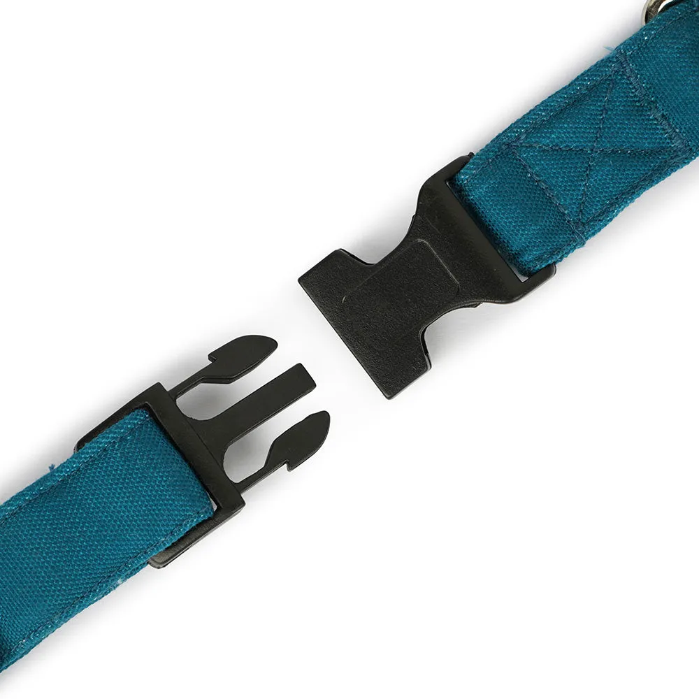 Dear Pet Classic Teal Blue Dog Collar & Leash Set