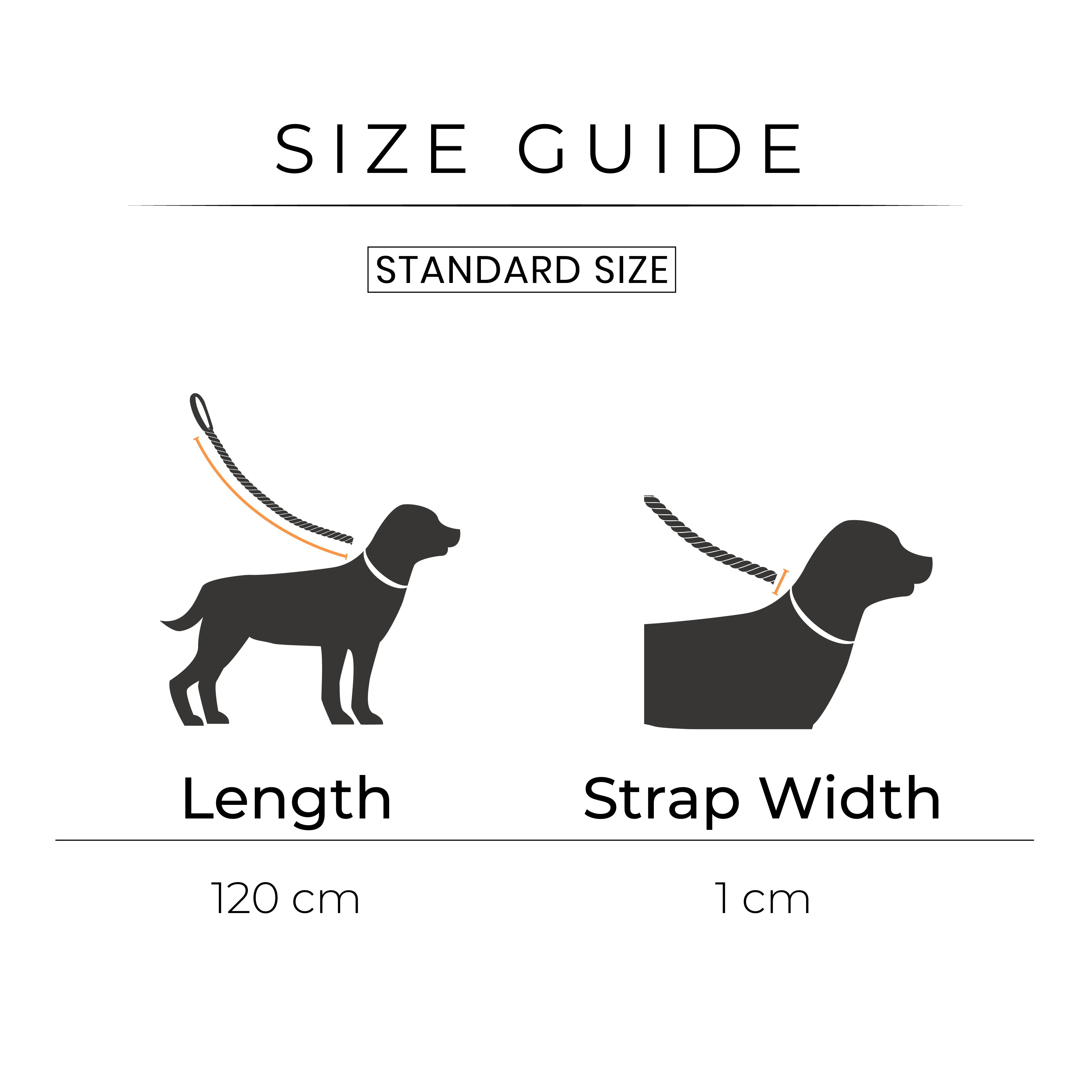 Dear Pet Rope Leash for Dogs