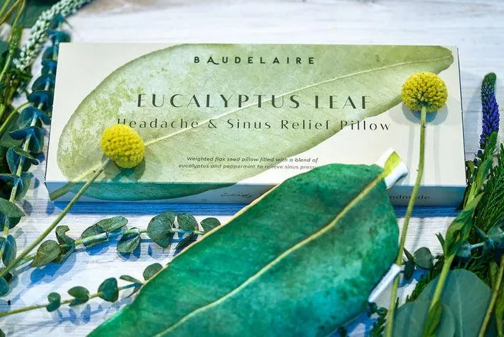 Eucalyptus Leaf - Outdoor Relief Pillow