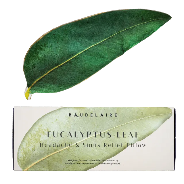 Eucalyptus Leaf - Outdoor Relief Pillow