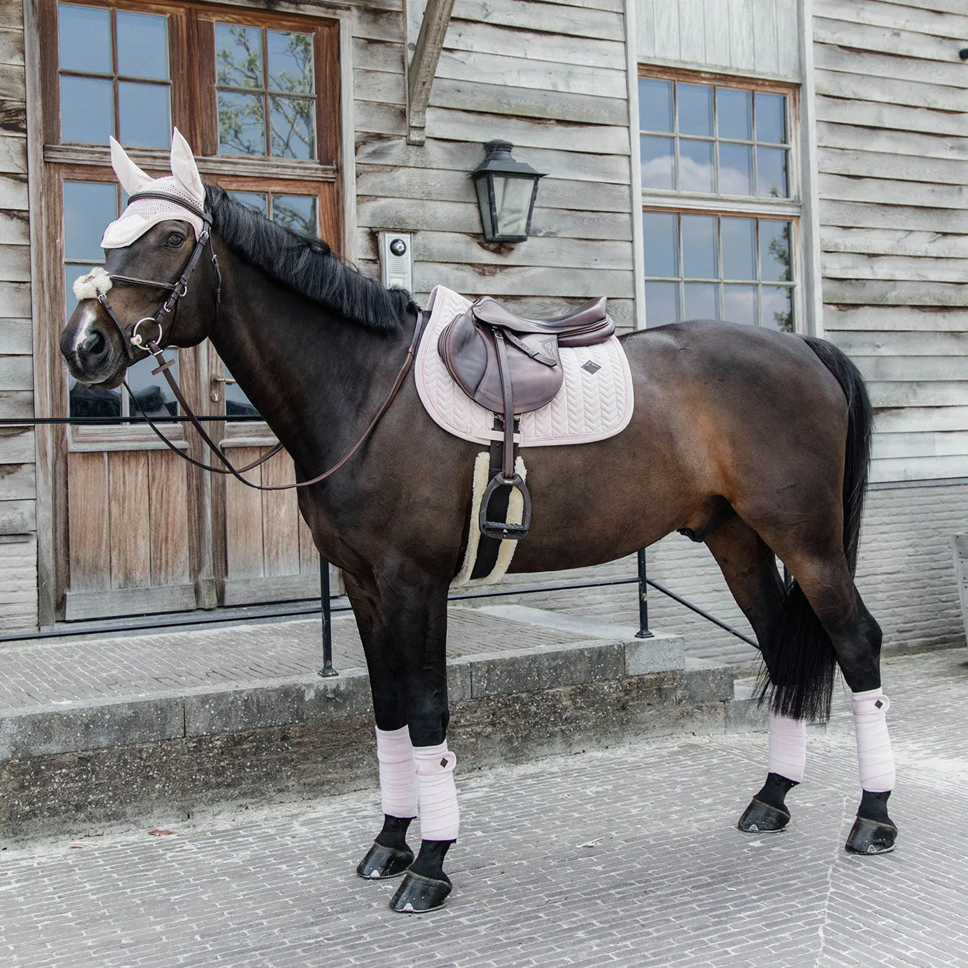 Kentucky Horsewear Velvet Pearls Jumping Saddle Cloth - Soft Rose